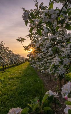 pascal-debrunner-U7LT_KjnBtY-unsplash