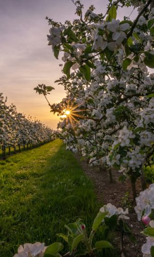 pascal-debrunner-U7LT_KjnBtY-unsplash